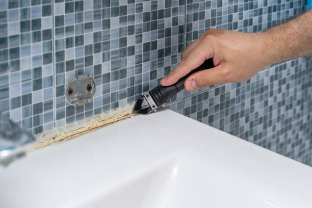 Best Mold Remediation  in Boerne, TX