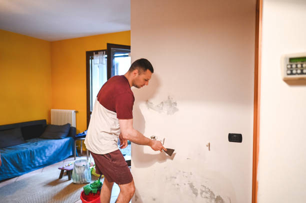 Mold Removal and Inspection in Boerne, TX